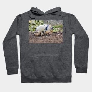 This little piggy Hoodie